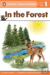 In The Forest