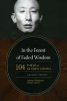 In The Forest Of Faded Wisdom