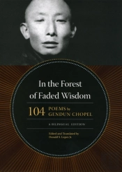 In The Forest Of Faded Wisdom