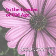 In The Garden Of Old Age