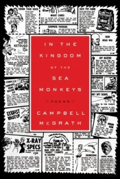 In The Kingdom Of The Sea Monkeys