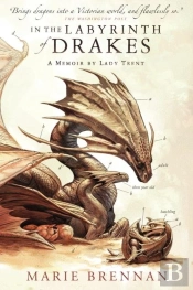 In The Labyrinth Of Drakes