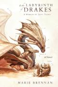 In The Labyrinth Of Drakes