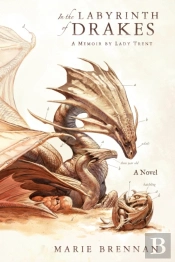 In The Labyrinth Of Drakes