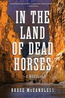 In The Land Of Dead Horses