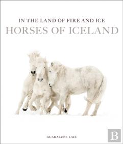 In The Land Of Fire And Ice