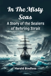 In The Misty Seas A Story Of The Sealers Of Behring Strait