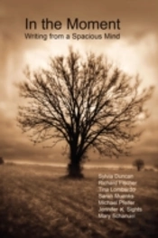 In The Moment - Writing From A Spacious Mind