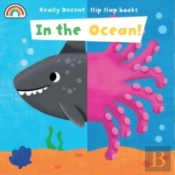 In The Ocean Really Decent Flip Flap