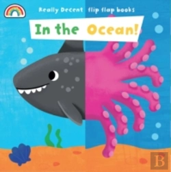 Bertrand.pt - In The Ocean Really Decent Flip Flap