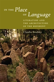 In The Place Of Language
