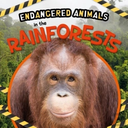 Bertrand.pt - In The Rainforests