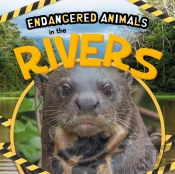 In The Rivers