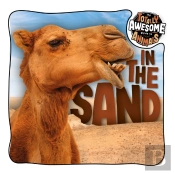 In The Sand