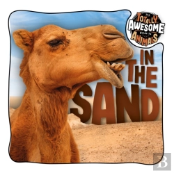 Bertrand.pt - In The Sand