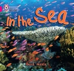 Bertrand.pt - In The Sea