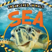 In The Sea