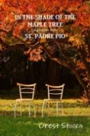 In The Shade Of The Maple Tree