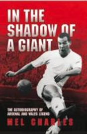 In The Shadow Of A Giant