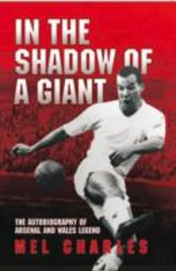 Bertrand.pt - In The Shadow Of A Giant