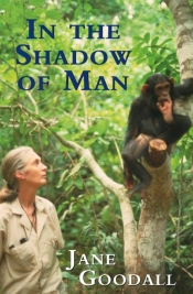 In The Shadow Of Man