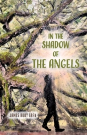 In The Shadow Of The Angels