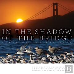 In The Shadow Of The Bridge