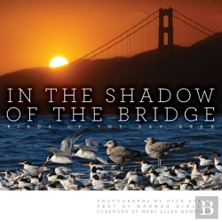 Bertrand.pt - In The Shadow Of The Bridge