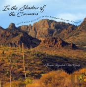 In The Shadow Of The Carmens