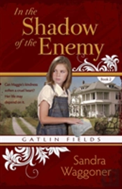 In The Shadow Of The Enemy