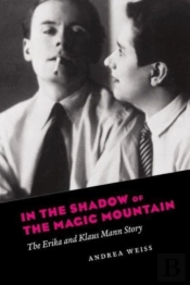 In The Shadow Of The Magic Mountain