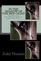 In The Shadow Of The Red-Light