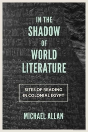 In The Shadow Of World Literature