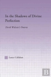 In The Shadows Of Divine Perfection