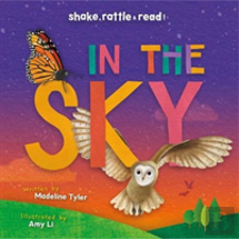In The Sky