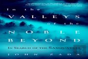 In The Valleys Of The Noble Beyond