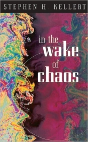 In The Wake Of Chaos