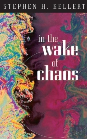 In The Wake Of Chaos