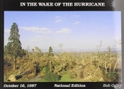 In The Wake Of The Hurricane