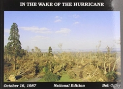 Bertrand.pt - In The Wake Of The Hurricane