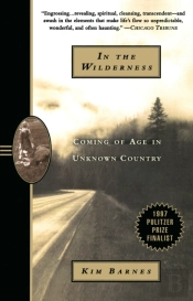 In The Wilderness