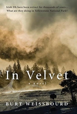 Bertrand.pt - In Velvet