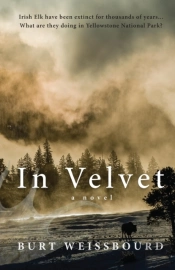 In Velvet