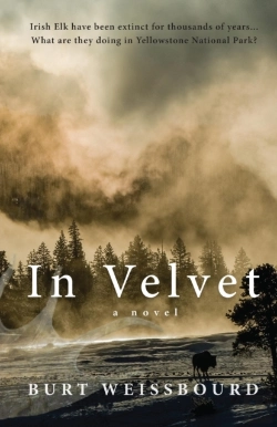 Bertrand.pt - In Velvet
