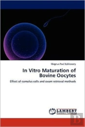 In Vitro Maturation Of Bovine Oocytes
