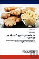 In Vitro Organogenesis In Ginger