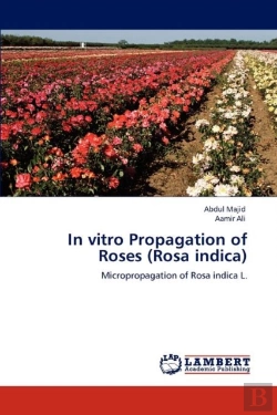 Bertrand.pt - In Vitro Propagation Of Roses (Rosa Indica)