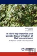 In Vitro Regeneration And Genetic Transformation Of Ricinus Communis