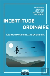 Incertitude Ordinaire : Résilience Organisationnelle En Situation De Crise