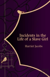 Incidents In The Life Of A Slave Girl (Hero Classics)